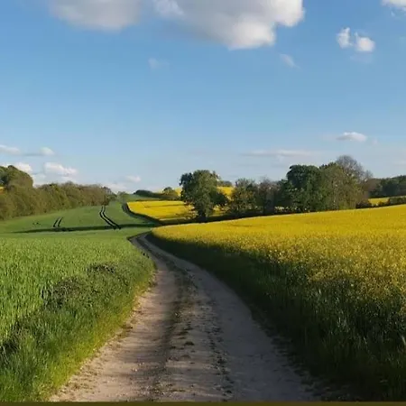 Daire Nature & Local Transport